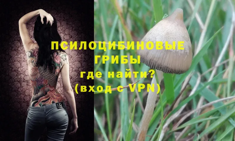 Псилоцибиновые грибы Magic Shrooms  Верхний Уфалей 